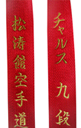 Deluxe Satin Red Master Belt